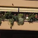 Elisart 3* Альгеро